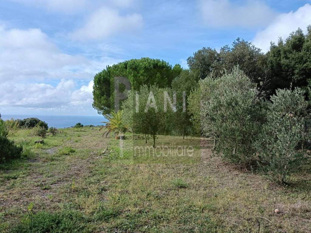 Terreno a Livorno - Foto 2