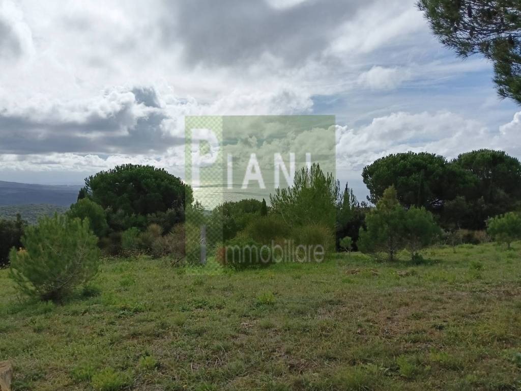 Terreno a Livorno - Foto 4