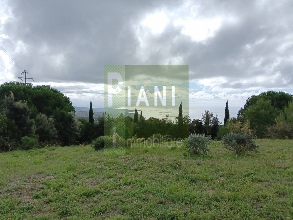 Terreno a Livorno - Foto 5