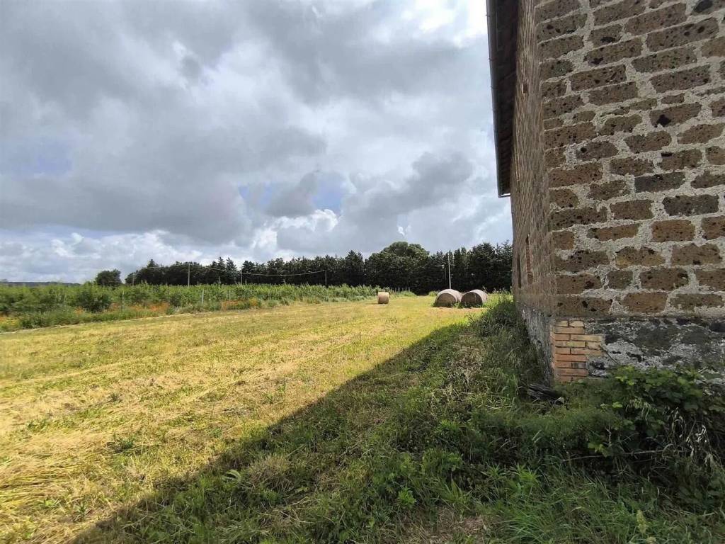 Rustico / casale a Montefiascone - Foto 2