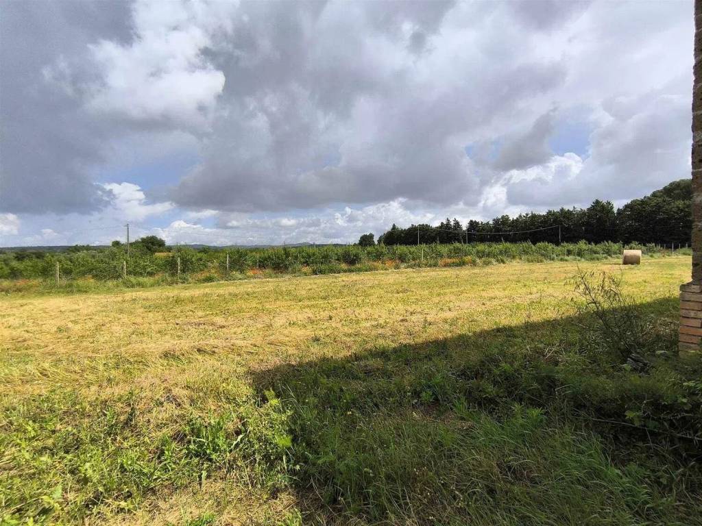 Rustico / casale a Montefiascone - Foto 3