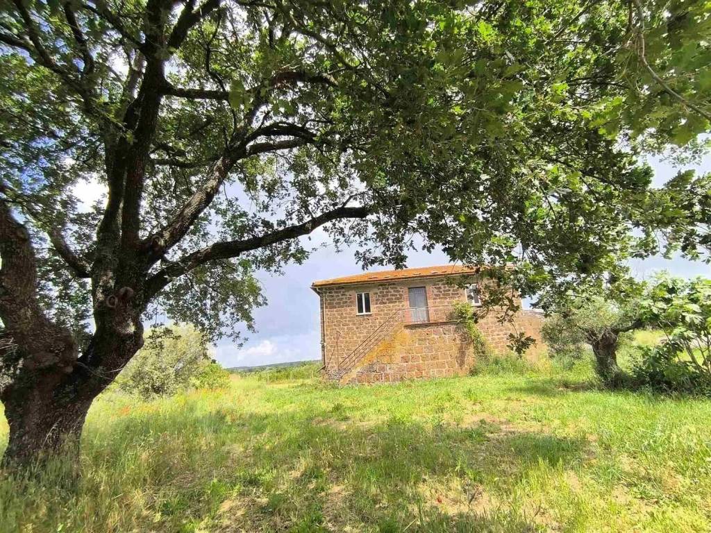 Rustico / casale a Montefiascone - Foto 4