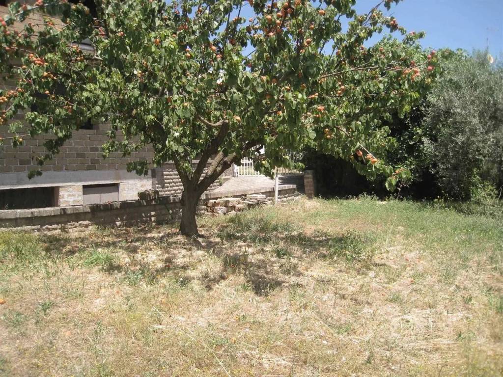 Villa a Montefiascone - Foto 3