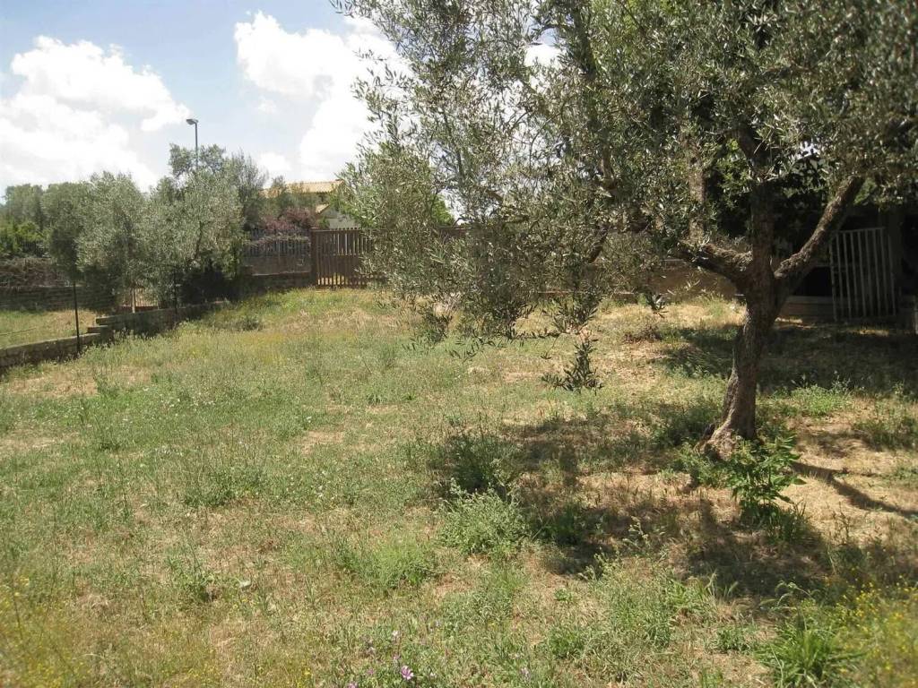 Villa a Montefiascone - Foto 5