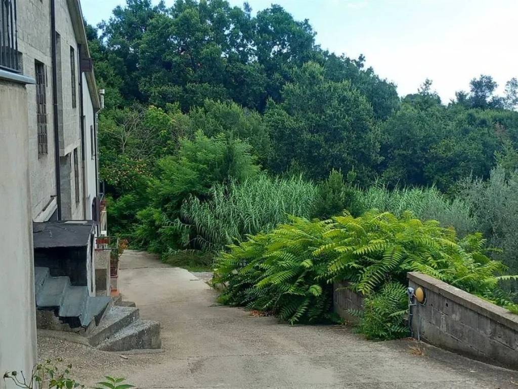 Villa a Montefiascone - Foto 3