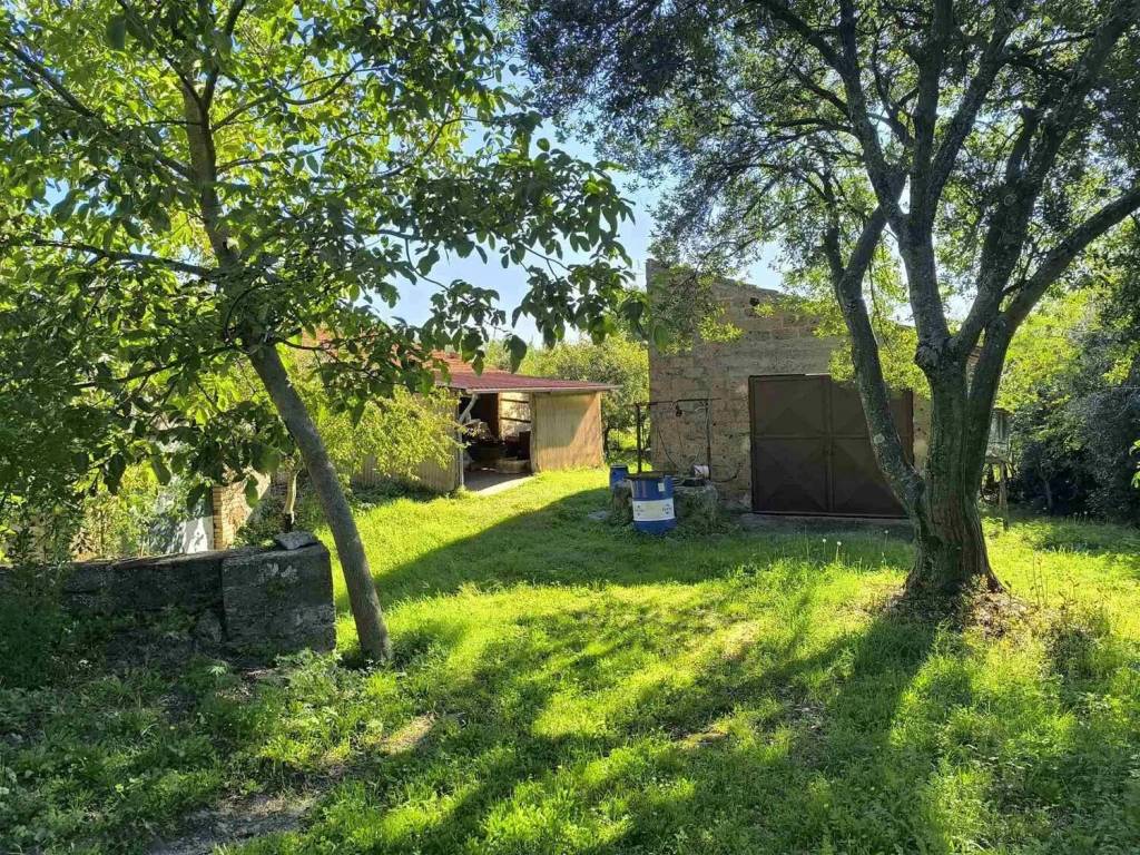 Rustico / casale a Montefiascone - Foto 3