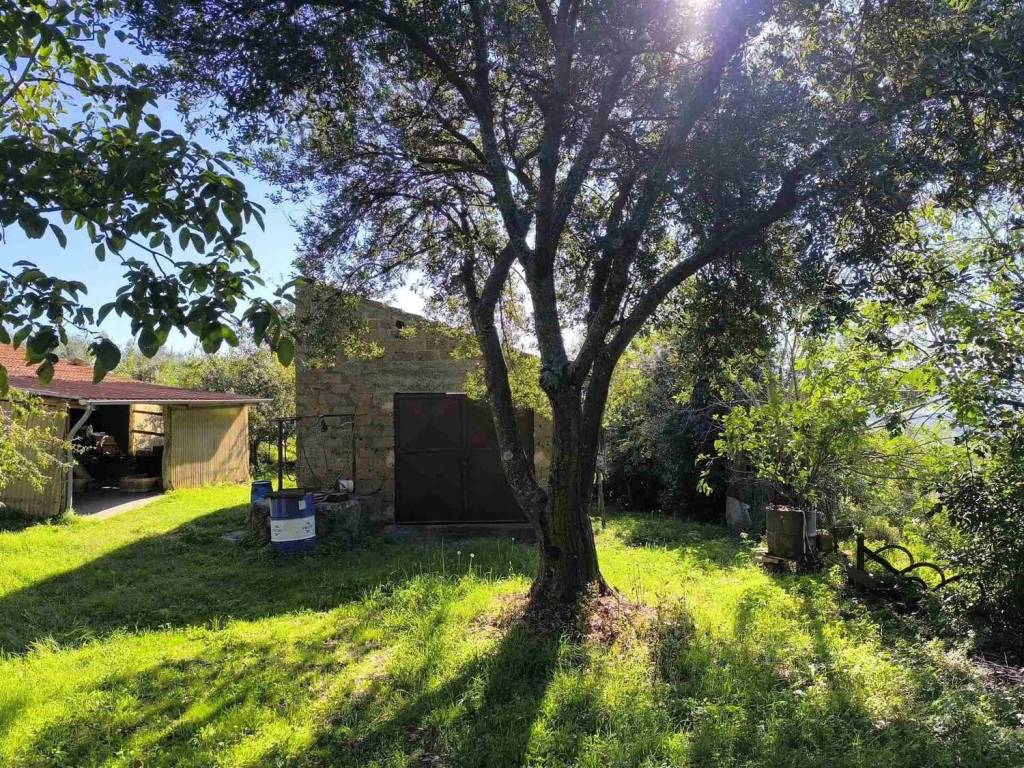 Rustico / casale a Montefiascone - Foto 4