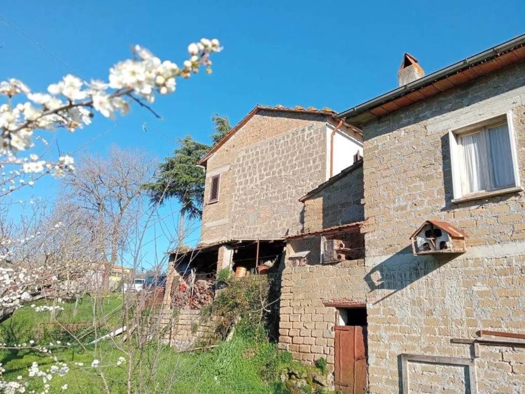 Appartamento a Montefiascone - Foto 3