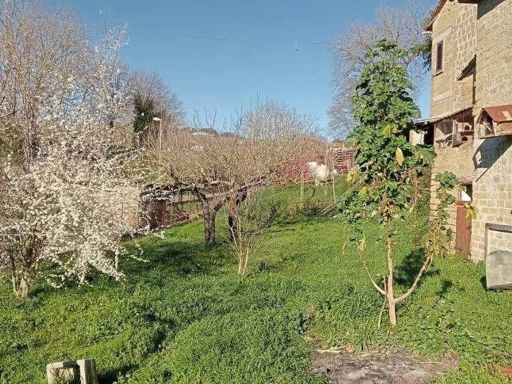 Appartamento a Montefiascone - Foto 5