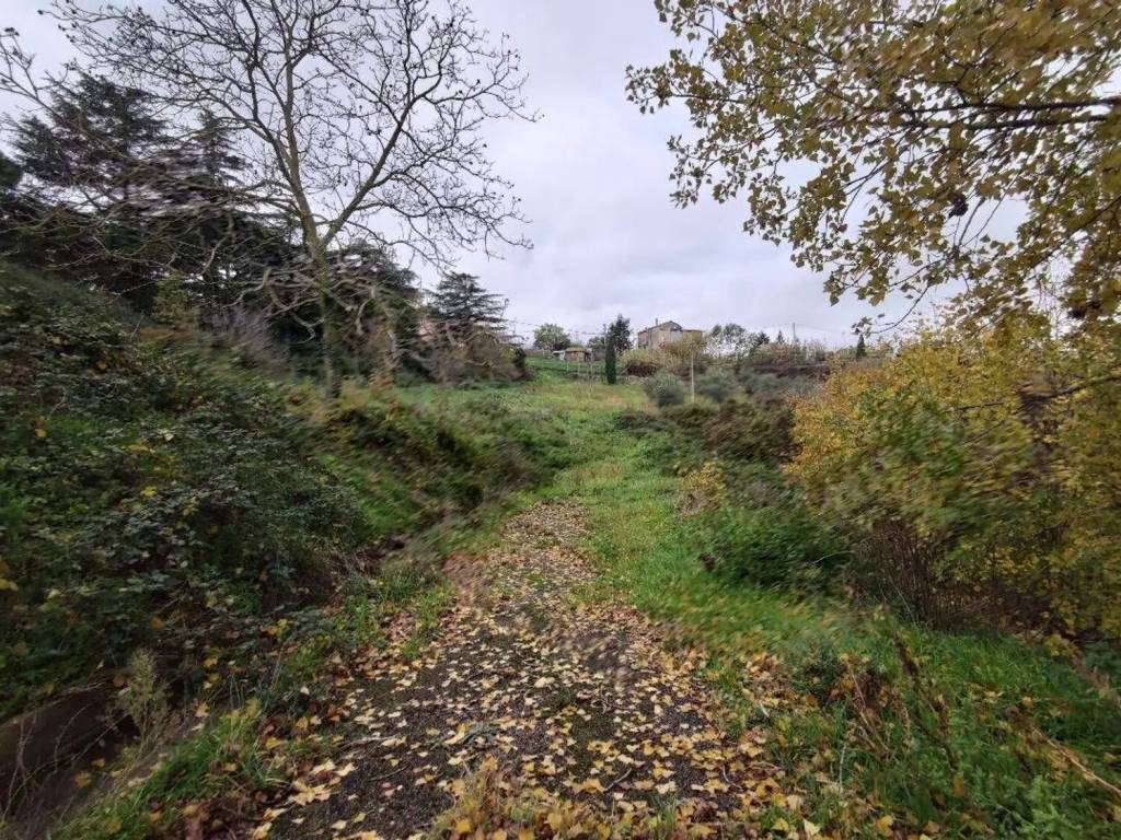 Rustico / casale a Montefiascone - Foto 5