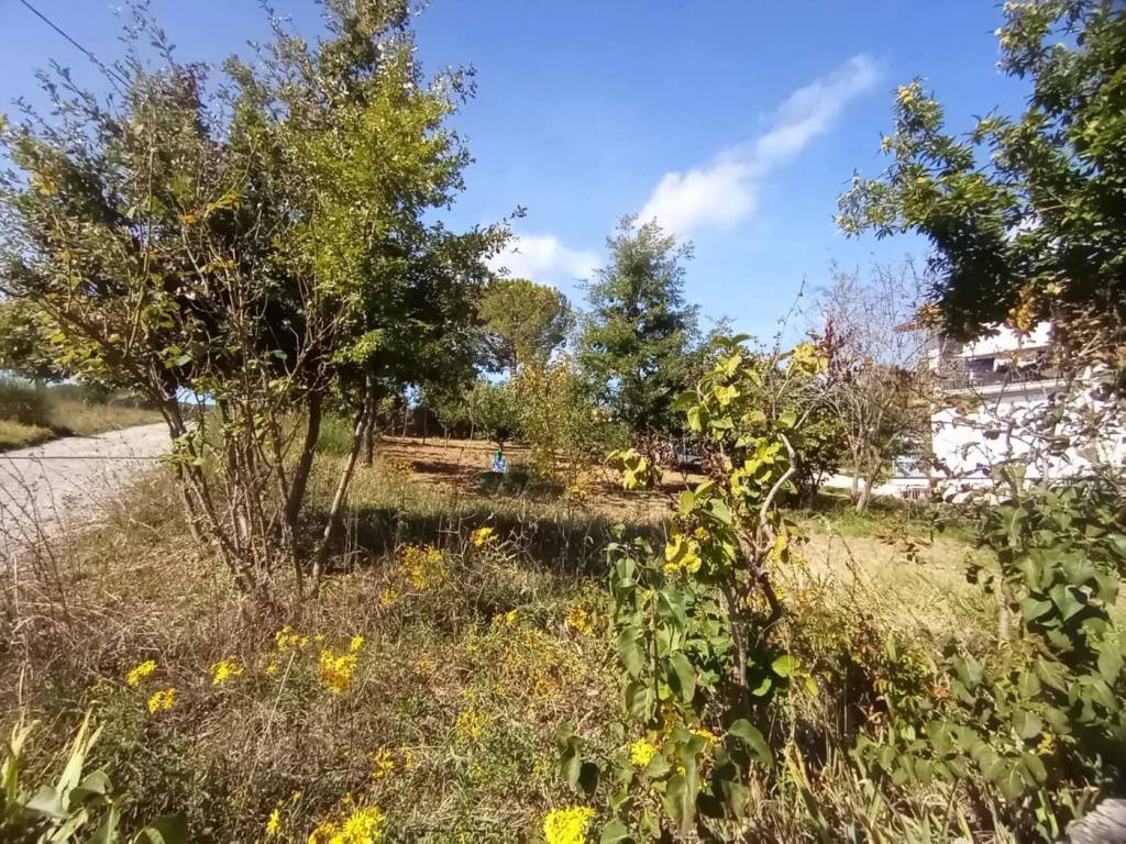 Casa indipendente a Campobasso in c.da Colle Longo superiore, snc - Foto 4