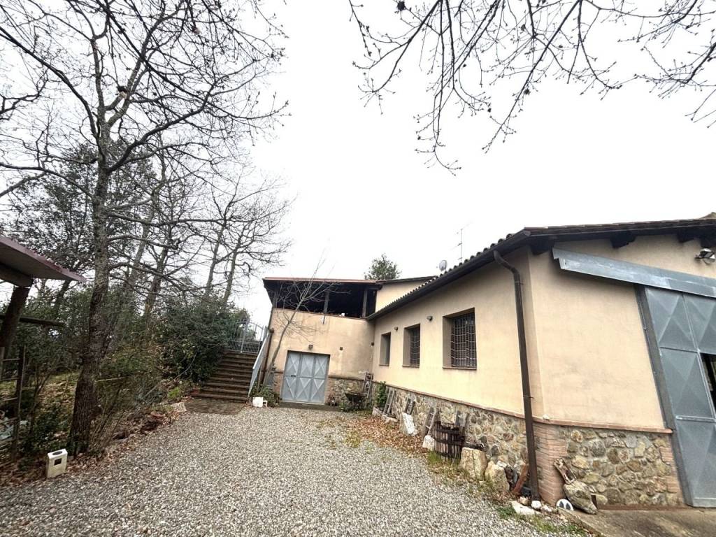 Rustico / casale a Campagnatico in POGGIO DEI LILLA' , - Foto 2
