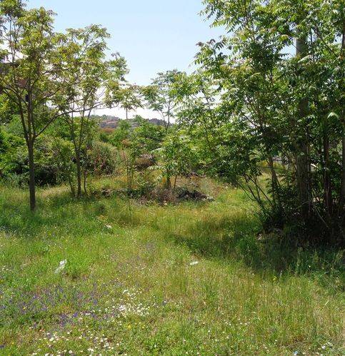 Terreno a Bronte in Via G. Battista Pergolesi - Foto 4