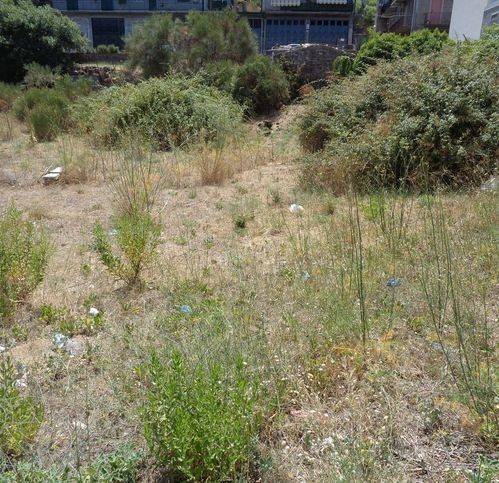 Terreno a Bronte in Via Mondello 31 - Foto 3