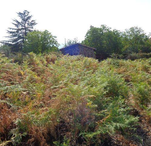 Terreno a Maletto in Ss284 - Foto 4