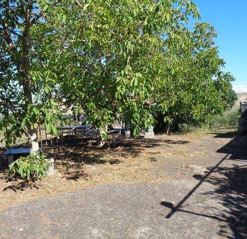 Terreno a Randazzo in Strada Statale 284 - Foto 2