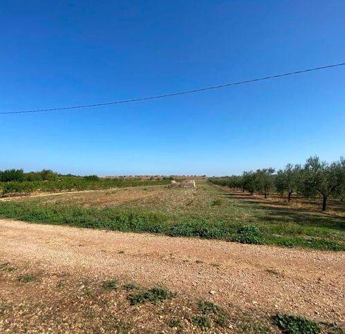 Terreno a Corato in Sansanello - Foto 3