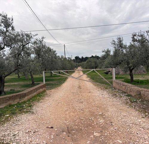 Terreno a Corato in Parete Di Tullio - Foto 2