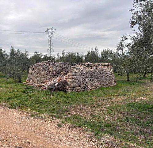 Terreno a Corato in Parete Di Tullio - Foto 3