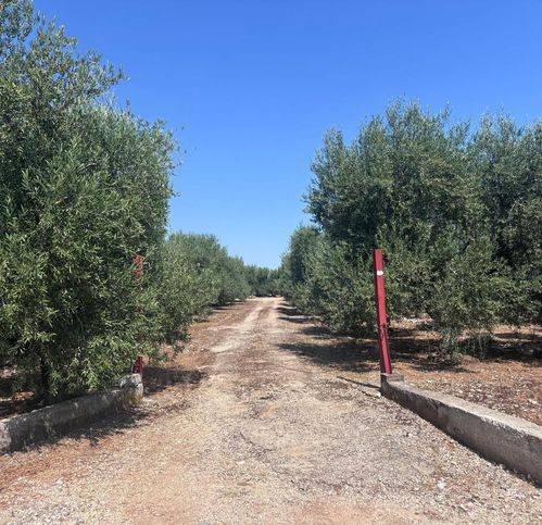Terreno a Corato in Strada Esterna Bellavista 10 - Foto 2