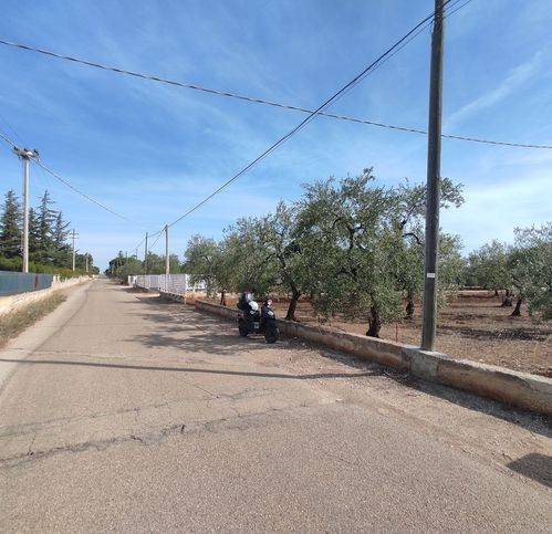 Terreno a Corato in Strada Esterna Regio Bosco Comunale - Foto 2