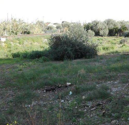 Terreno a Cefalù - Foto 5