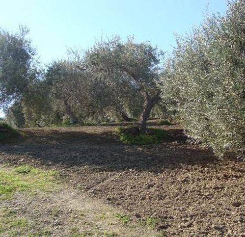 Terreno a Lascari - Foto 2