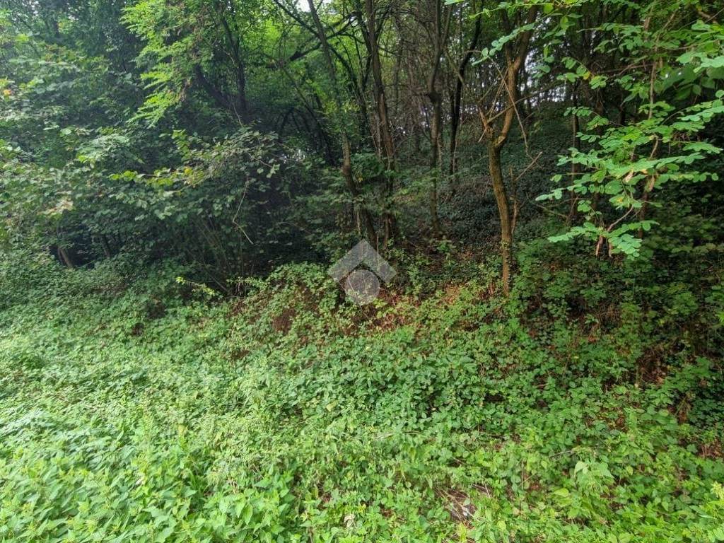 Terreno a Olgiate molgora in Via * - Foto 2