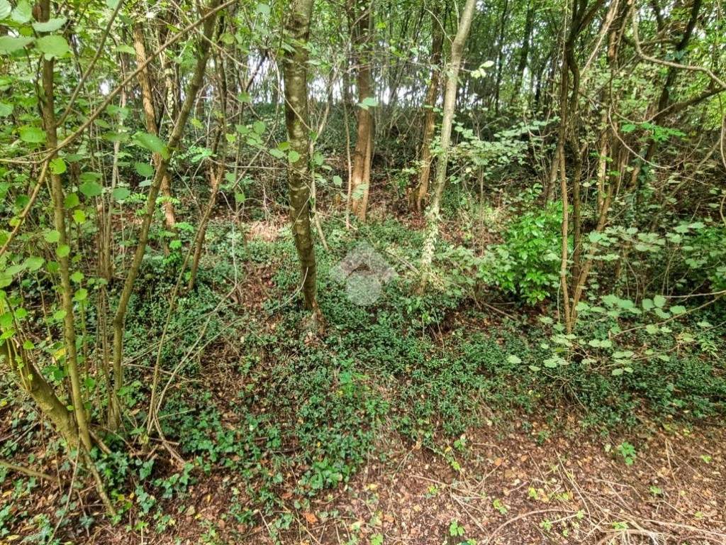 Terreno a Olgiate molgora in Via * - Foto 3