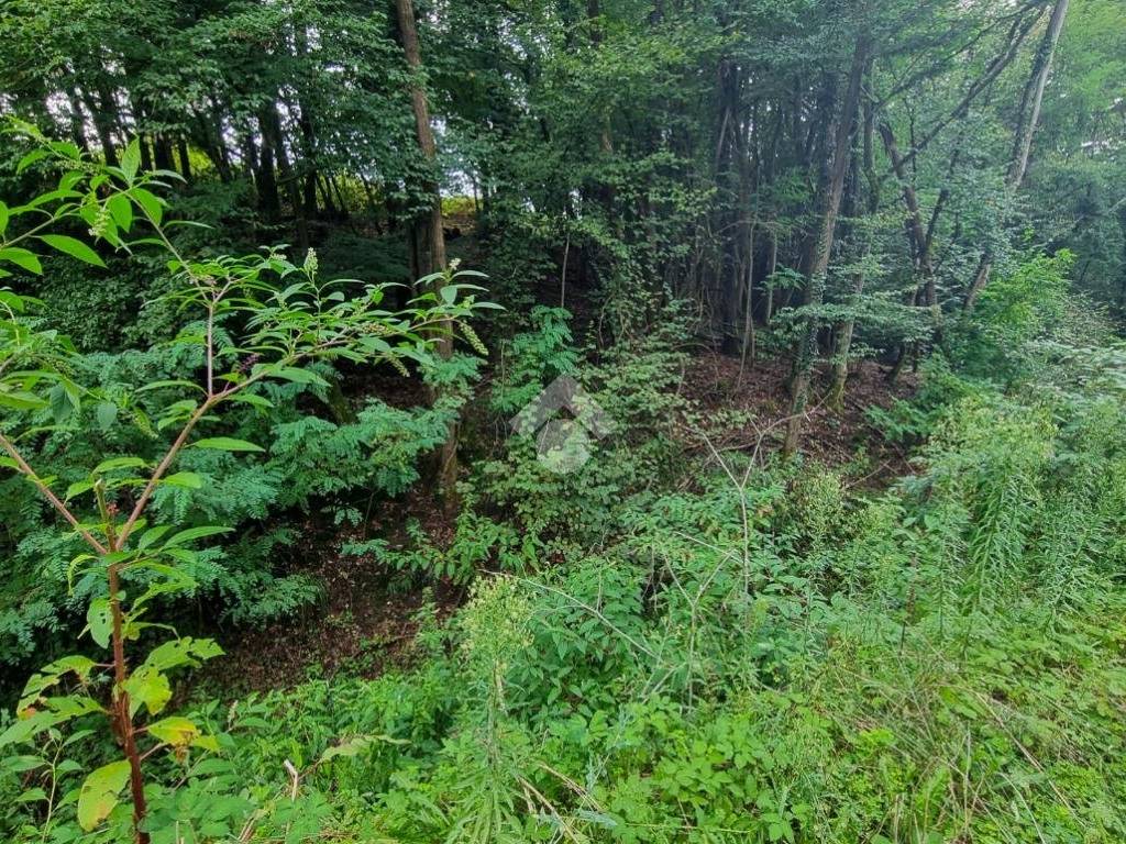 Terreno a Olgiate molgora in Via * - Foto 4