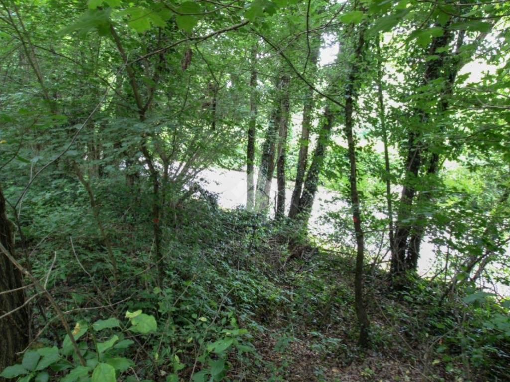 Terreno a Olgiate molgora in Via * - Foto 5