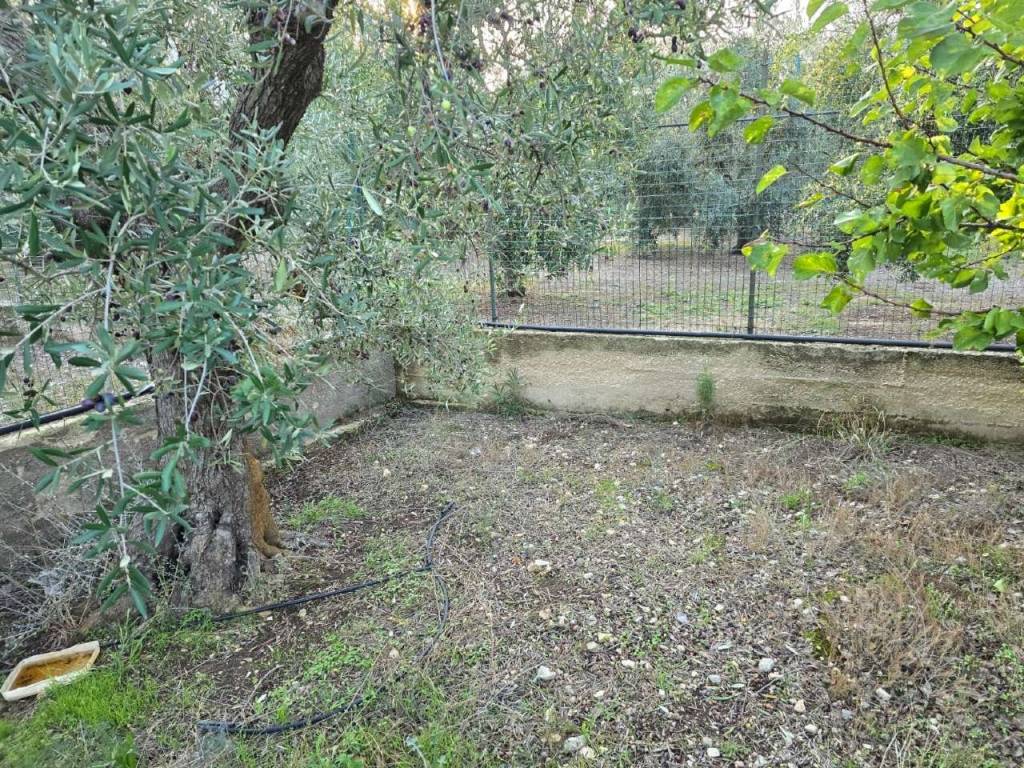 Terreno a Bisceglie in contrada Lamerlina - Foto 3