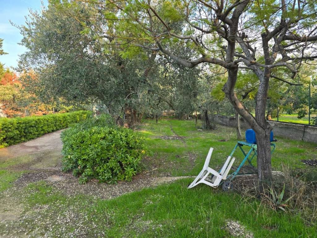 Terreno a Bisceglie in contrada Lamerlina - Foto 5