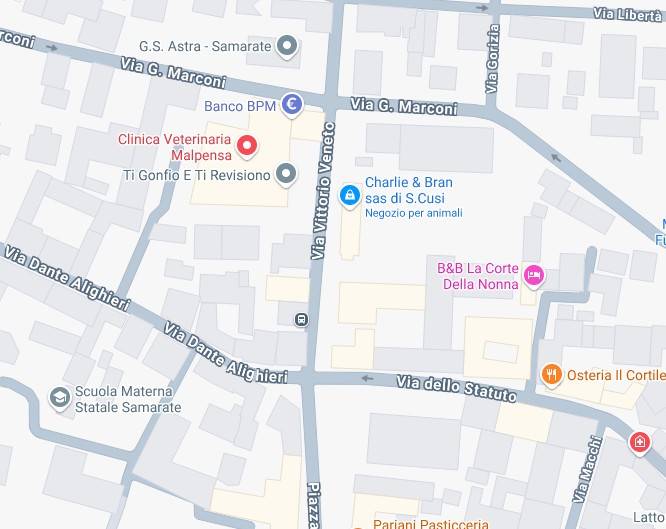 immagine di copertina