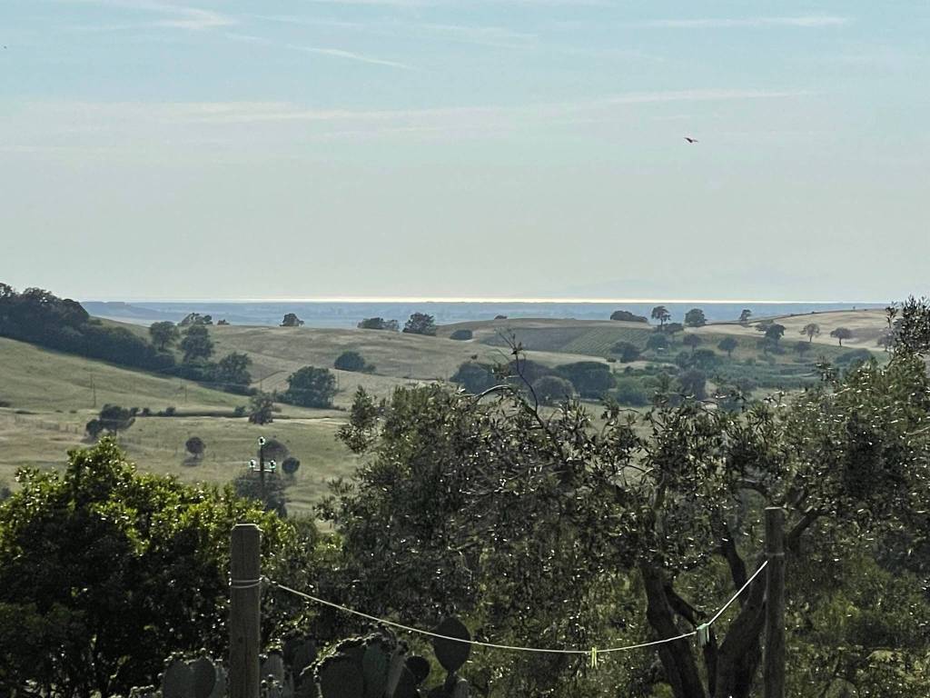 Terreno a Magliano in toscana in Strada Provinciale di Montiano - Foto 2