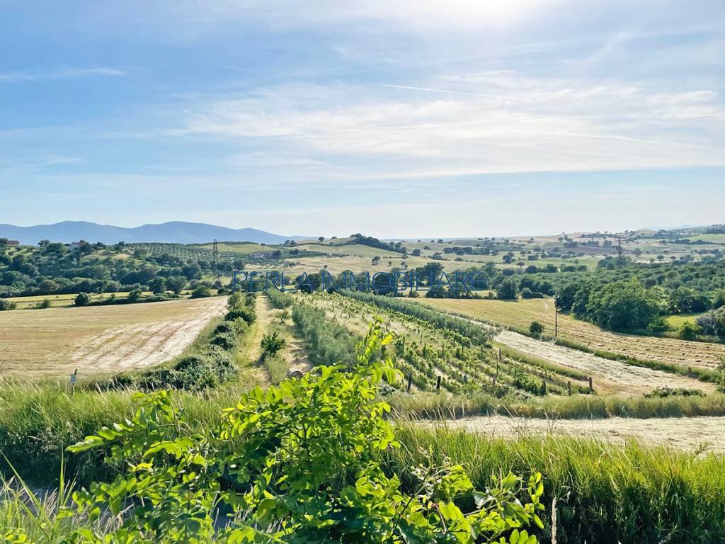 Terreno a Magliano in toscana in Strada Provinciale di Montiano - Foto 3