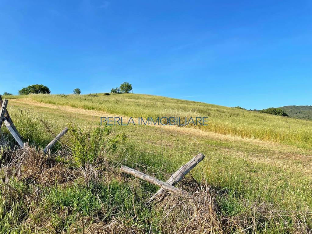 Terreno a Magliano in toscana in Strada Provinciale di Montiano - Foto 4