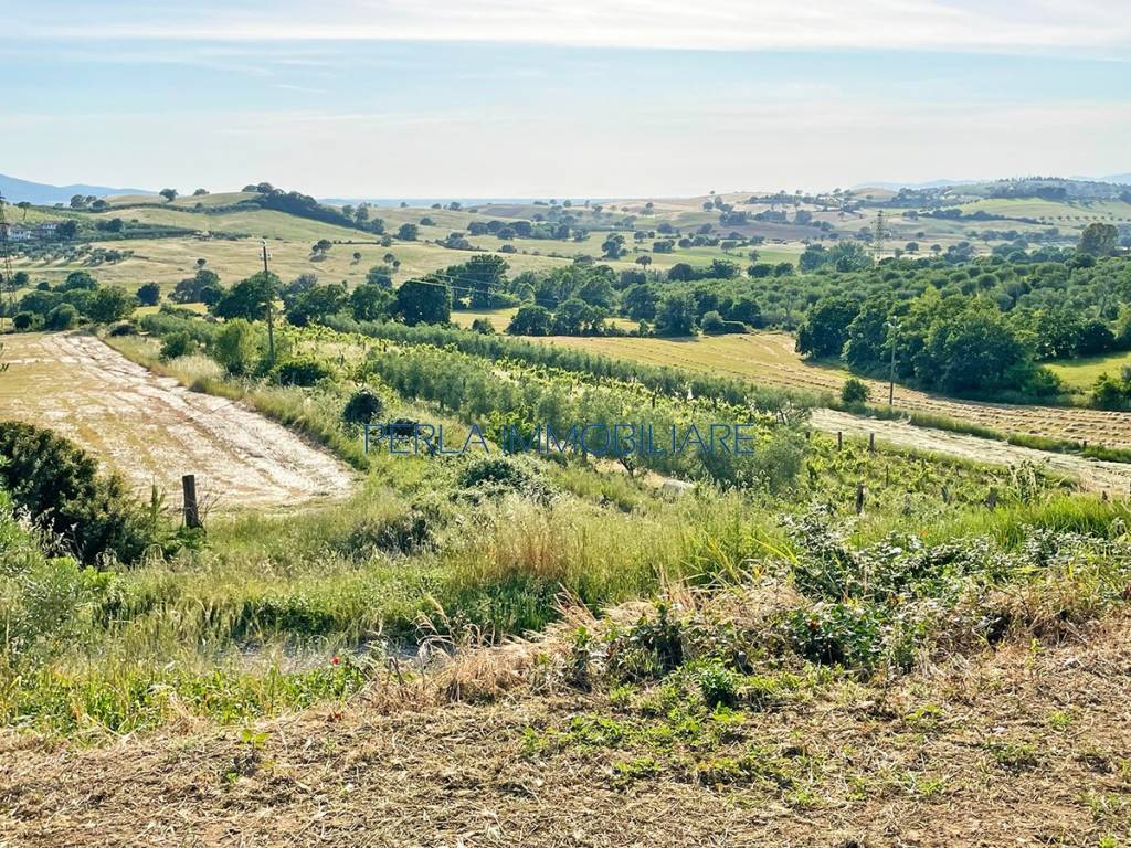 Terreno a Magliano in toscana in Strada Provinciale di Montiano - Foto 5