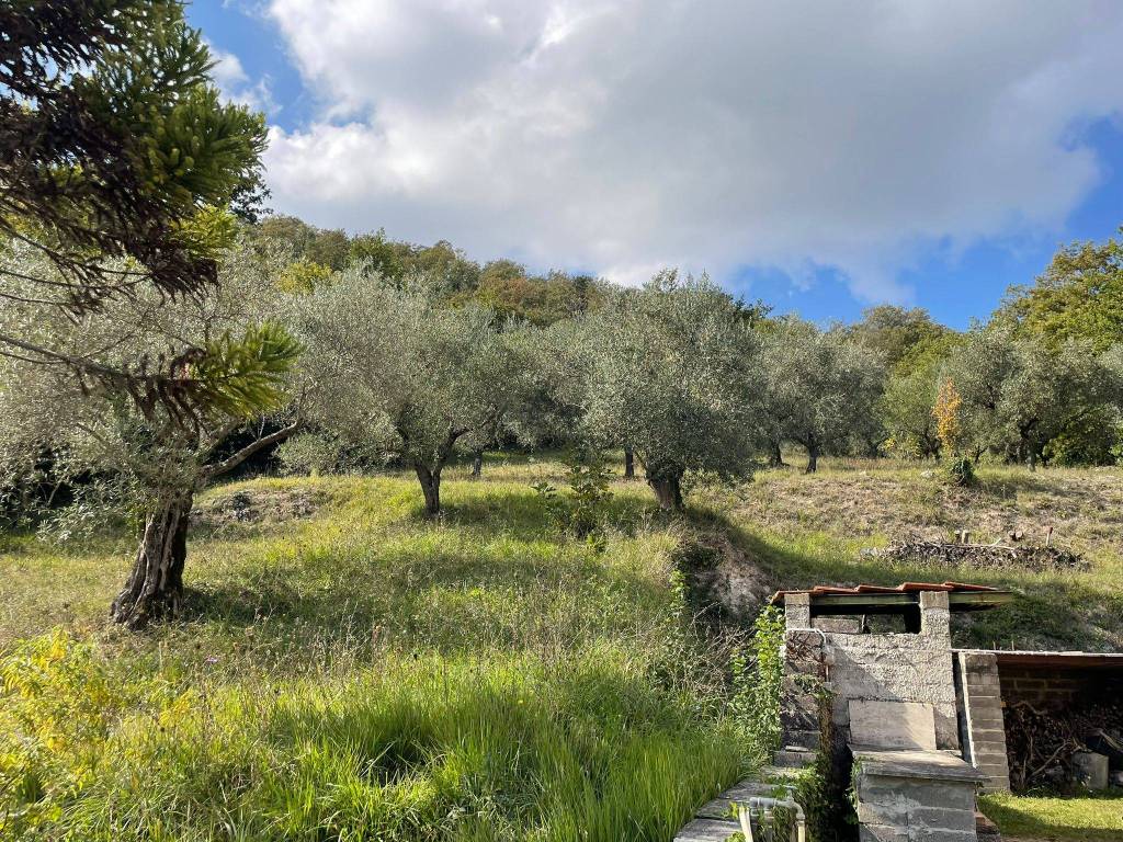 Appartamento a Tivoli in Strada Fosso Arcese - Foto 3