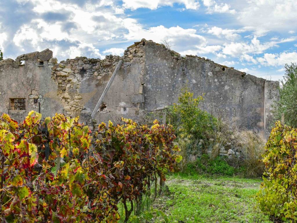 Rustico / casale a Noto in Via Tommaso Fazello, 228 - Foto 4