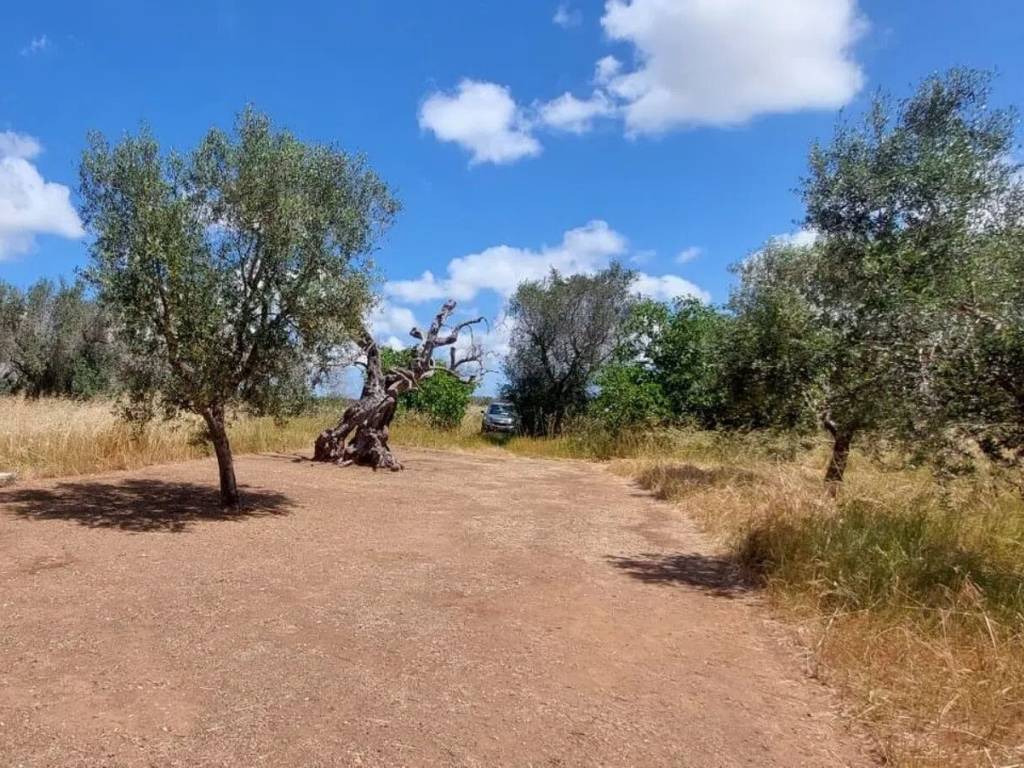 Terreno a Castri di lecce in Via Provinciale Per Lizzanello - Foto 2