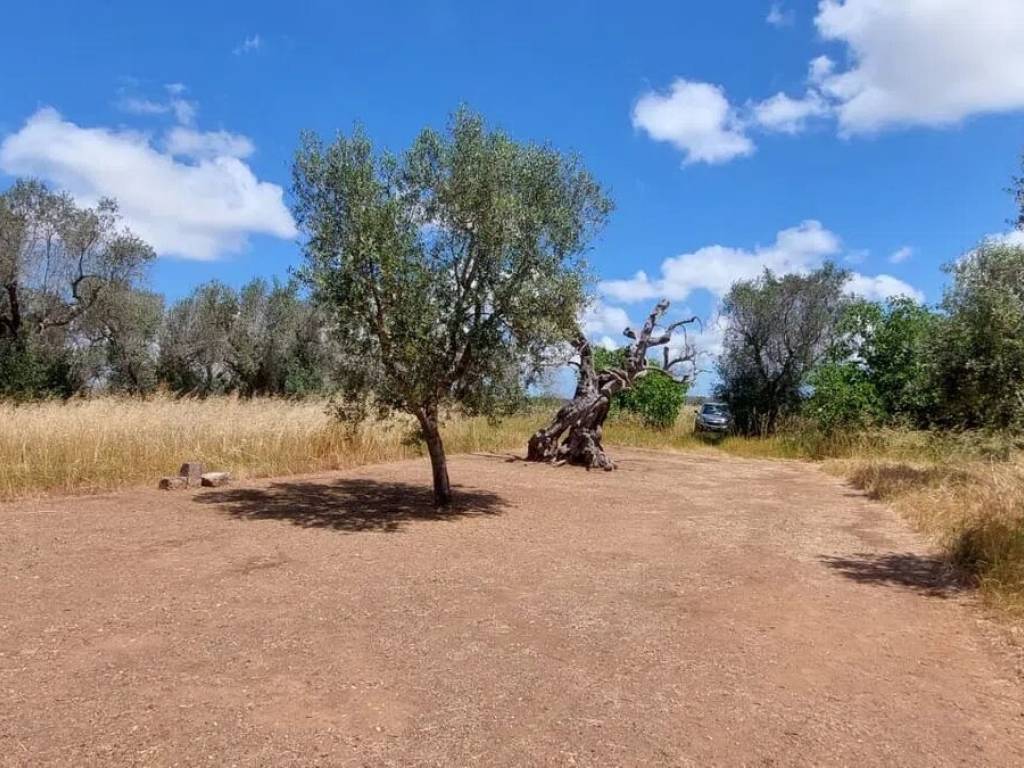 Terreno a Castri di lecce in Via Provinciale Per Lizzanello - Foto 5