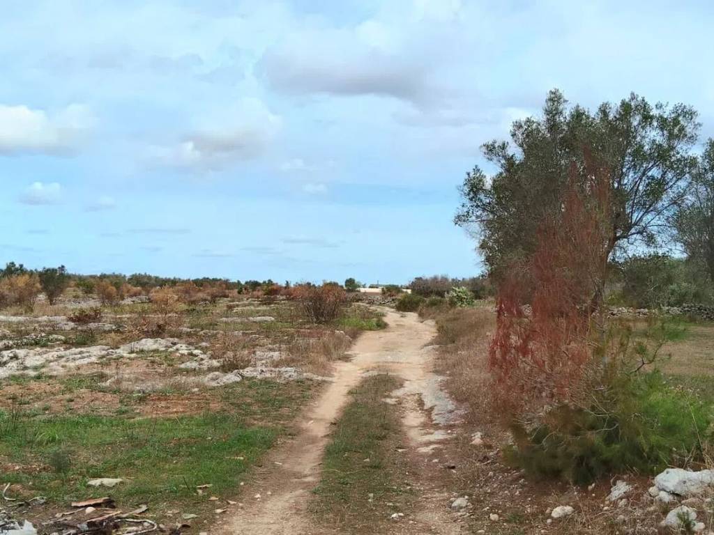 Terreno a Lizzanello in Via Castri, 10 - Foto 3