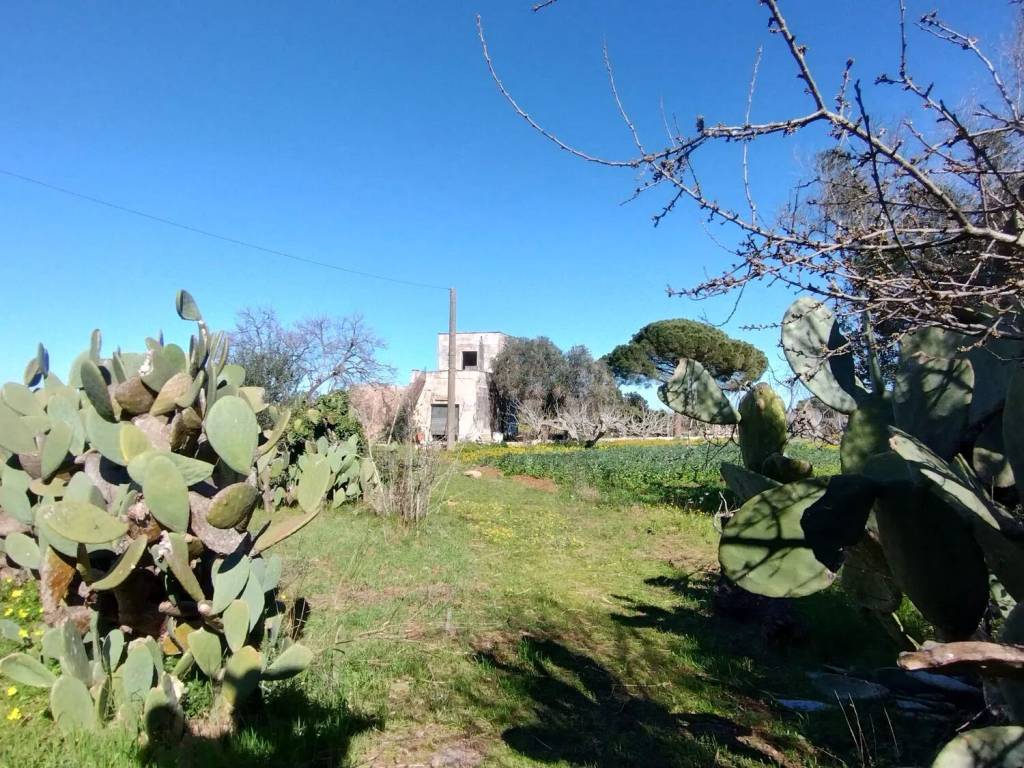 Rustico / casale a Castri di lecce in Malta No Number - Foto 4