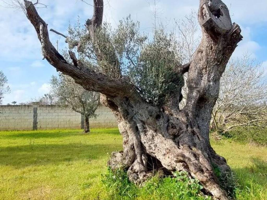 Villa a Lizzanello in Via Castrì No Number - Foto 4