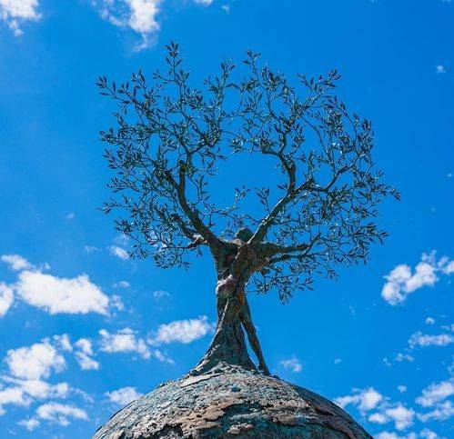 Immobile a Pietrasanta in Piazza Francesco Crispi 1 - Foto 5