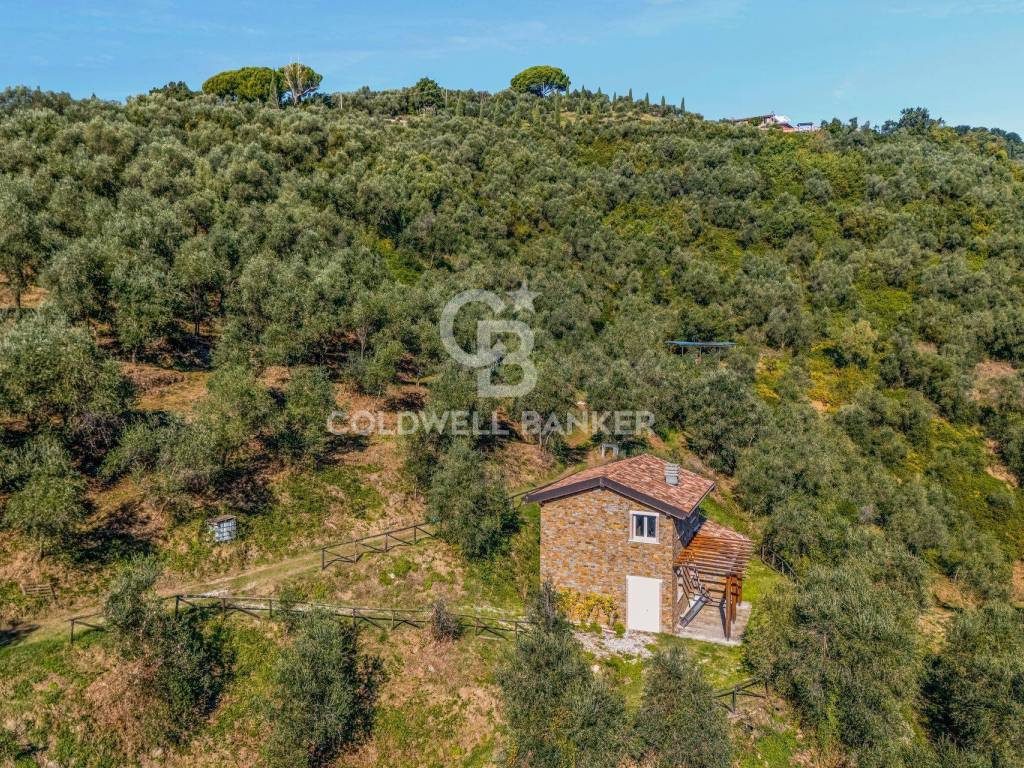 Terreno a Massarosa in Via del Pino - Foto 2