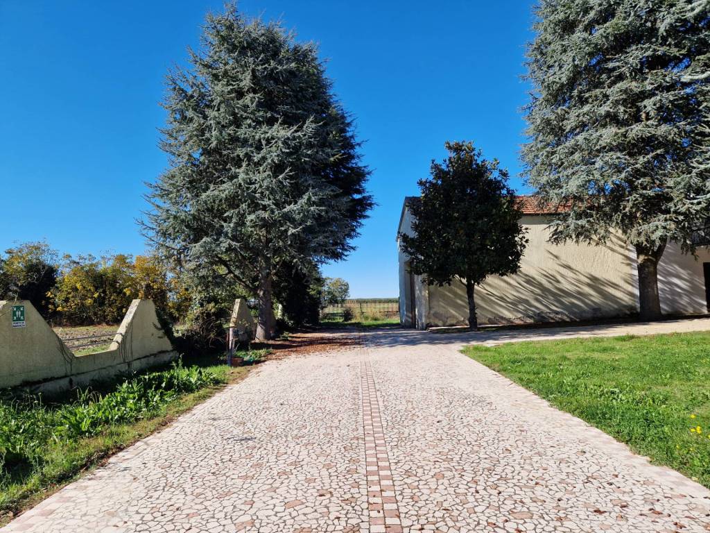 Villa a Ferrara in Via dei Prati - Foto 3