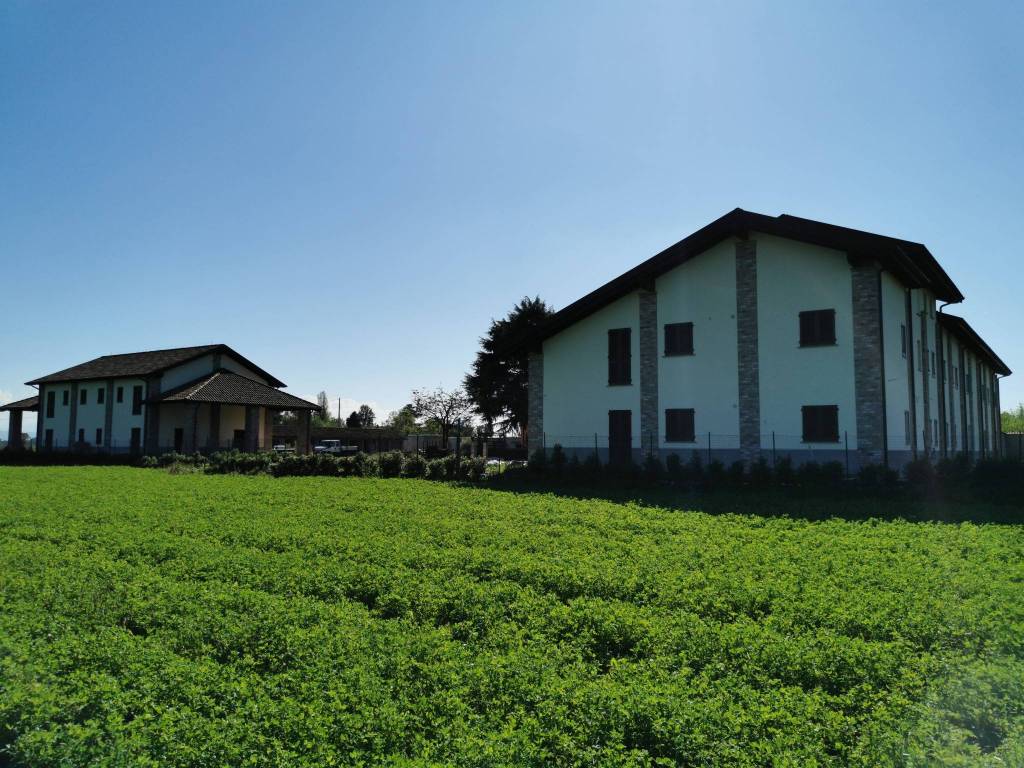 Progetto a Travacò siccomario in Strada Orlandi, 1 - Foto 5
