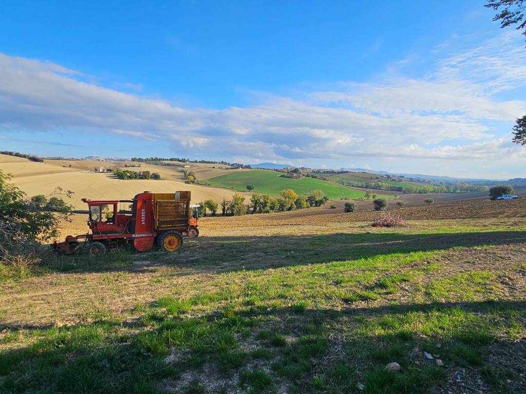 Rustico / casale a Recanati in Strada Comunale Cantalupo, 46 - Foto 4